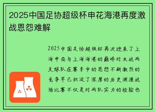 2025中国足协超级杯申花海港再度激战恩怨难解
